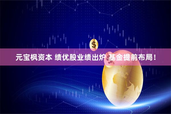 元宝枫资本 绩优股业绩出炉 基金提前布局！