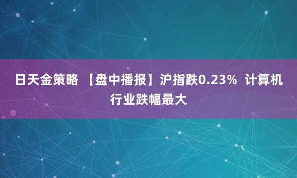 日天金策略 【盘中播报】沪指跌0.23%  计算机行业跌幅最大
