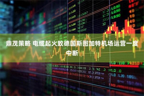 鼎茂策略 电缆起火致德国斯图加特机场运营一度中断