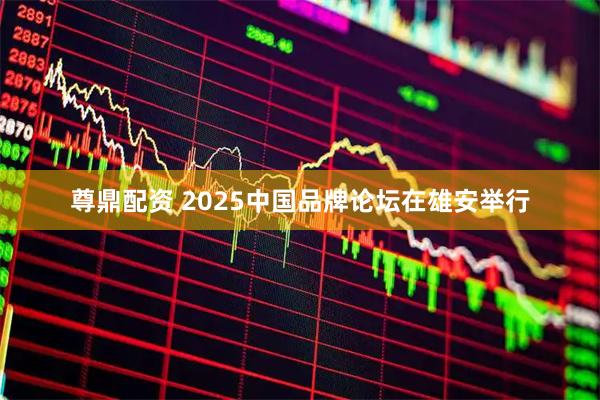 尊鼎配资 2025中国品牌论坛在雄安举行