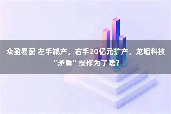 众盈易配 左手减产，右手20亿元扩产，龙蟠科技“矛盾”操作为了啥？