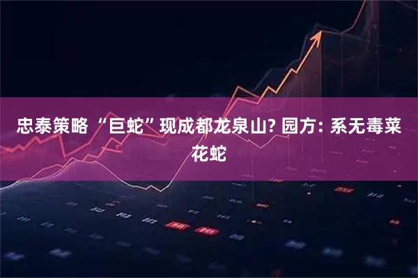 忠泰策略 “巨蛇”现成都龙泉山? 园方: 系无毒菜花蛇