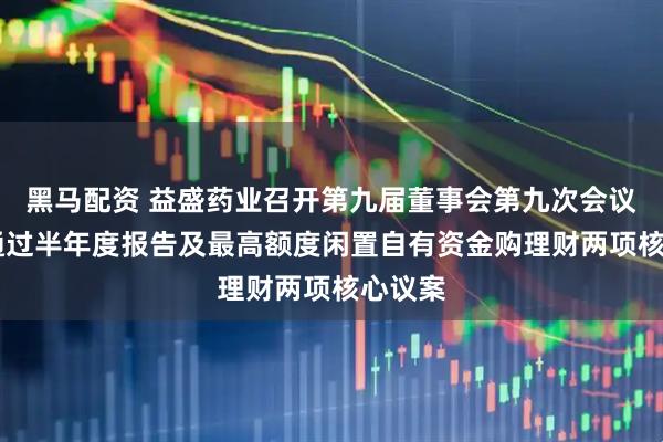 黑马配资 益盛药业召开第九届董事会第九次会议 全票通过半年度报告及最高额度闲置自有资金购理财两项核心议案